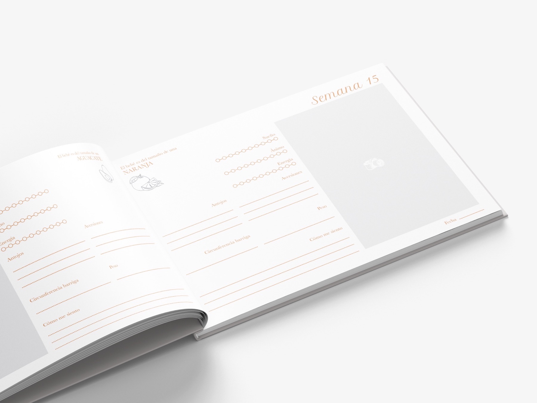 Diseño editorial — Álbum de embarazo — imagen 4